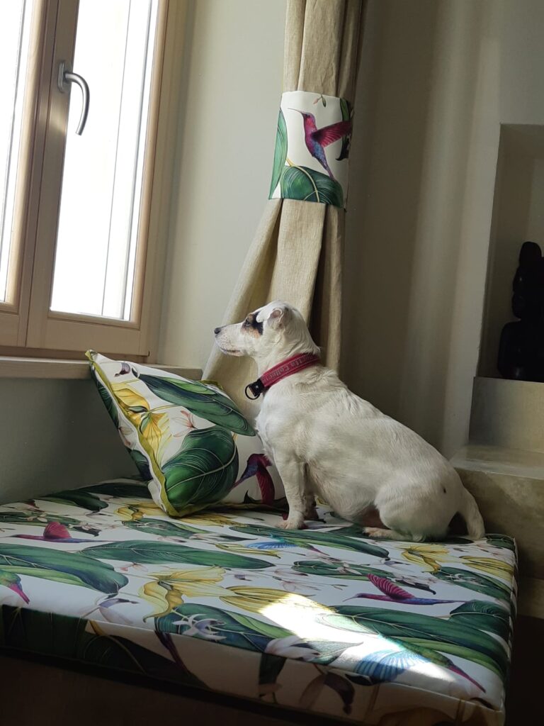 Fantasia coordinata tende, cuscino e copriletto